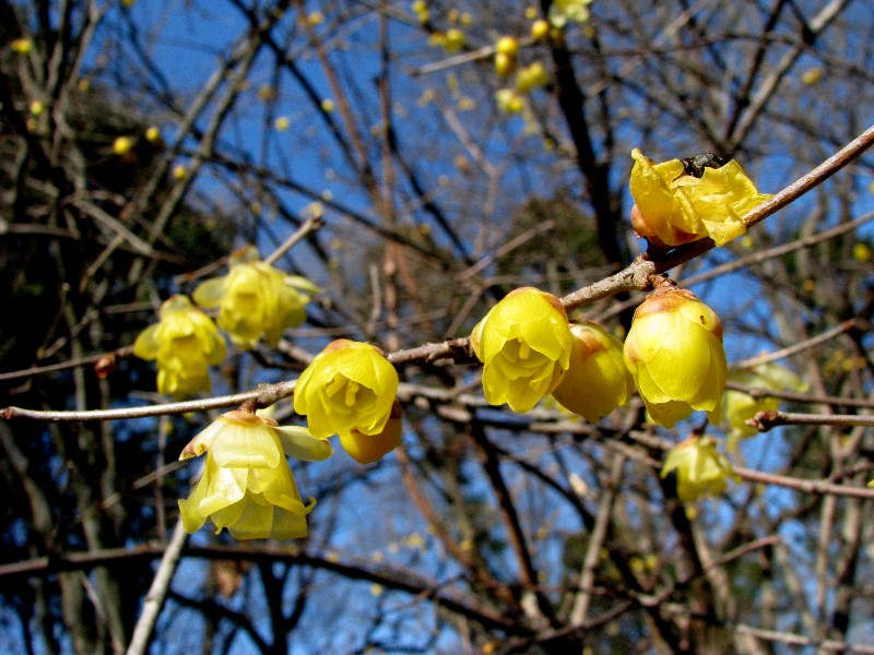 a0004023_11425891.jpg