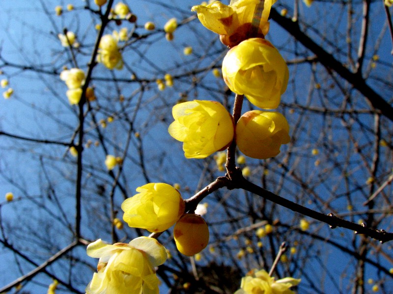 a0004023_11434494.jpg