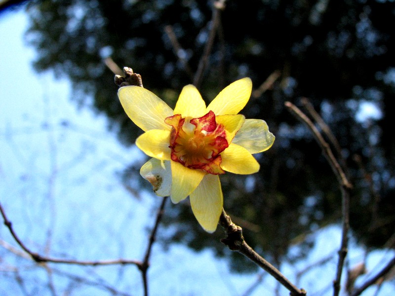 a0004023_11542729.jpg