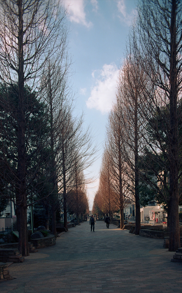 b0137723_05328100.jpg