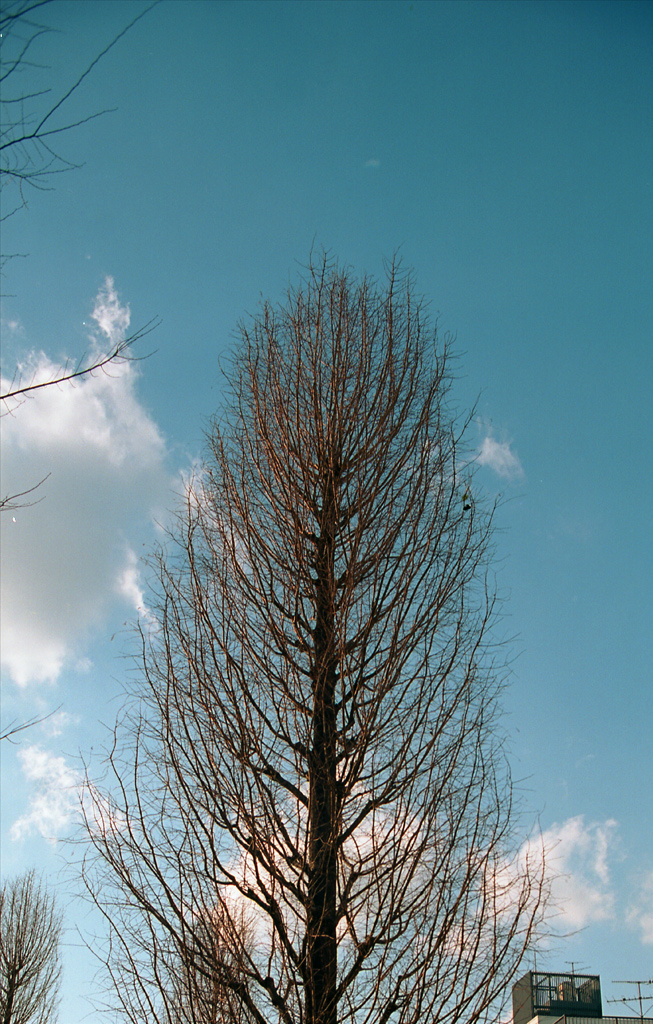 b0137723_053424.jpg