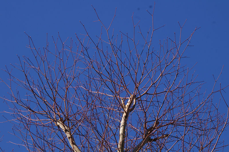 e0136424_1040342.jpg