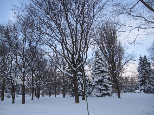 e0191826_227217.jpg