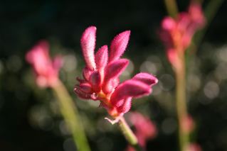 c0199728_23523145.jpg