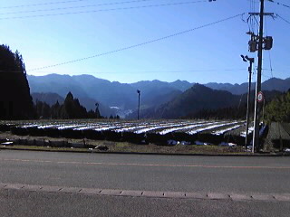 d0014229_17332824.jpg