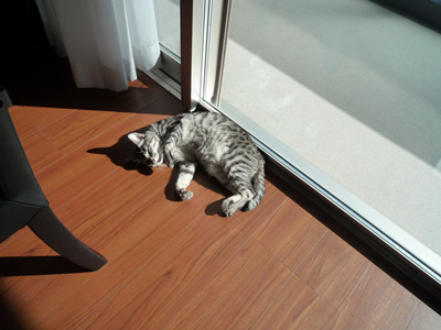 c0125532_1613629.jpg