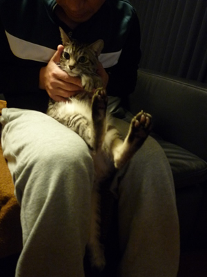 c0125532_161459.jpg