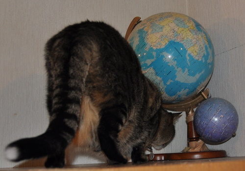 c0133533_1262696.jpg