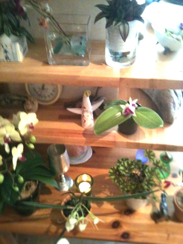 c0082534_17515015.jpg