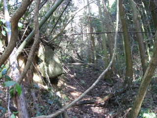 c0077338_22562833.jpg