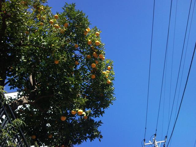 e0150843_22493571.jpg