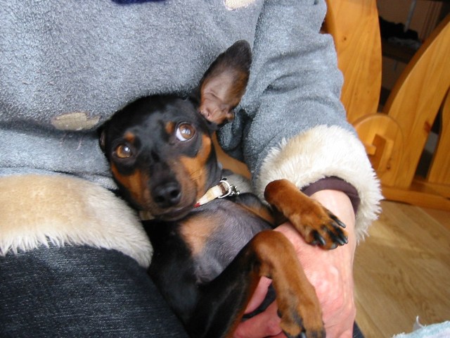 e0150843_2371147.jpg