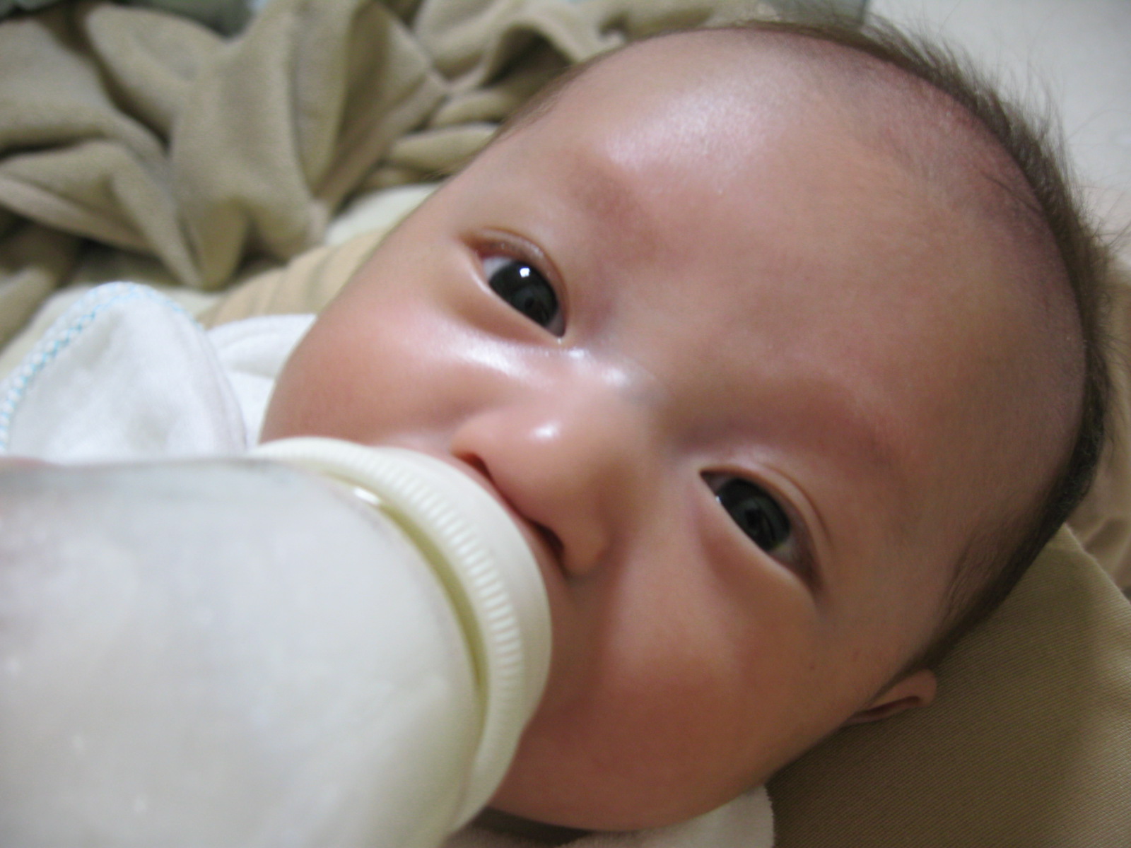 a0130348_2242151.jpg