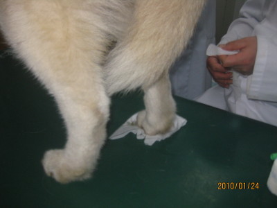 e0121548_2128040.jpg