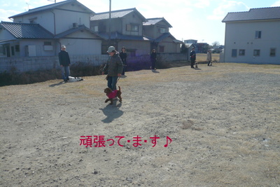c0092350_1912391.jpg