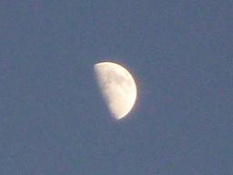 a0160657_2114925.jpg