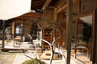 c0107861_20514392.jpg