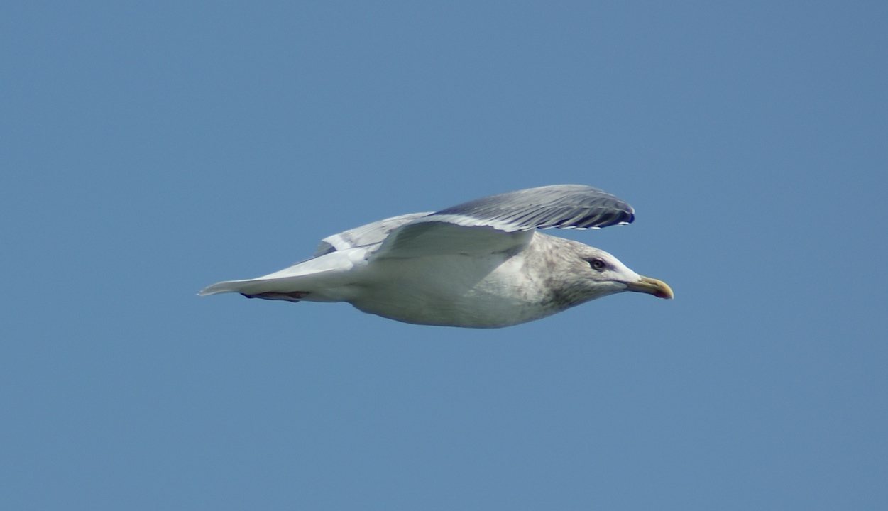 f0068368_18284533.jpg