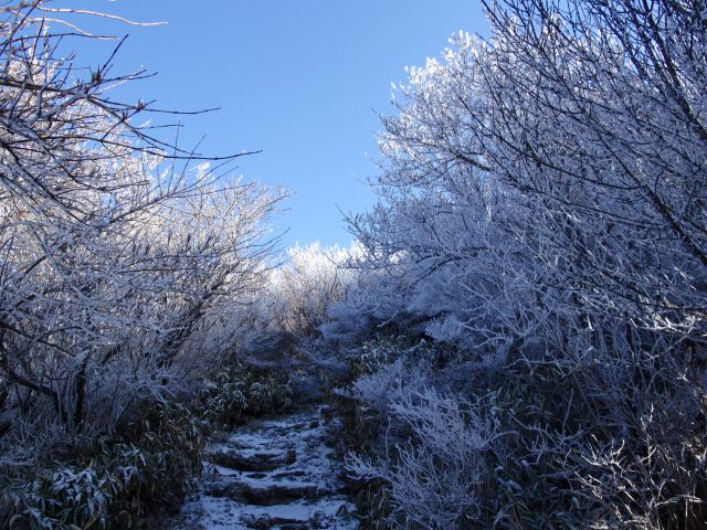 c0042869_1945169.jpg