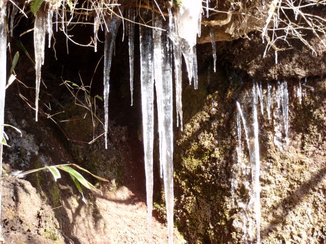 c0042869_19555269.jpg