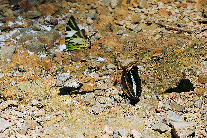 f0090680_12142847.jpg