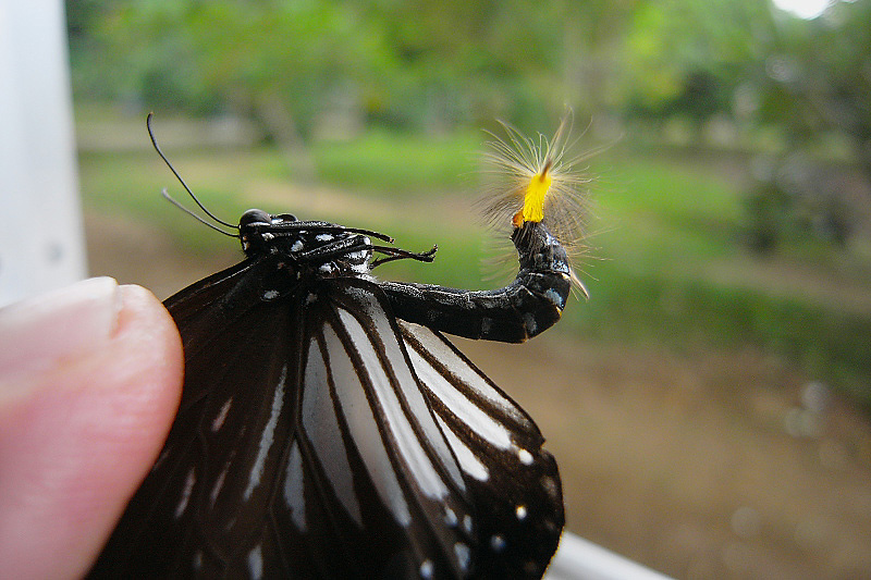 f0090680_12152010.jpg