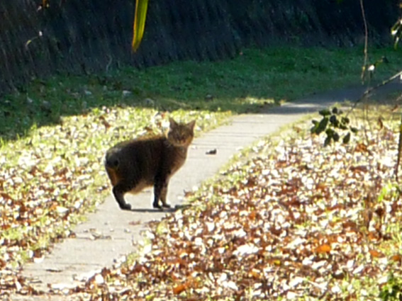 c0125283_1681281.jpg