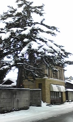 d0129083_17231550.jpg