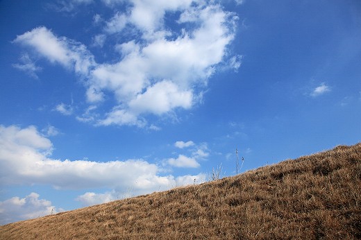 e0190885_18221442.jpg