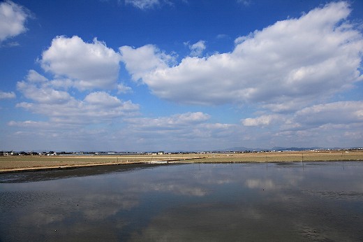 e0190885_18222966.jpg