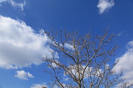 e0190885_18233570.jpg