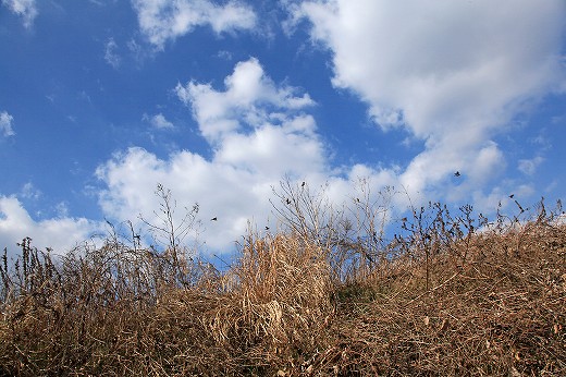 e0190885_18234731.jpg