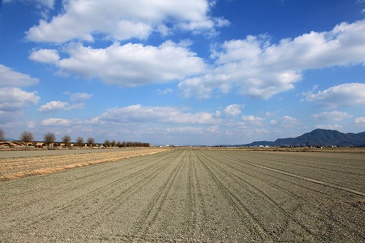 e0190885_18244665.jpg
