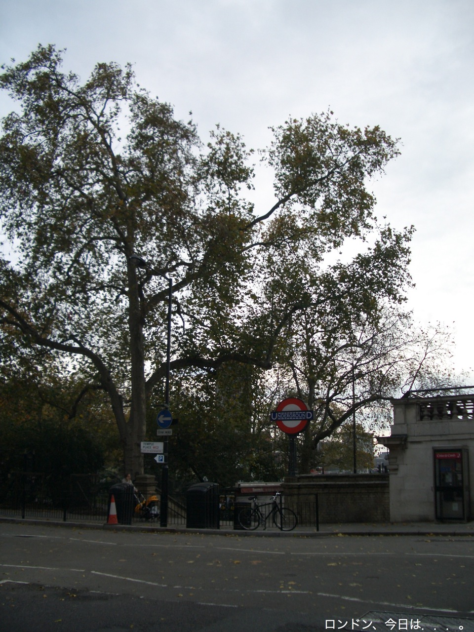a0137487_1154892.jpg