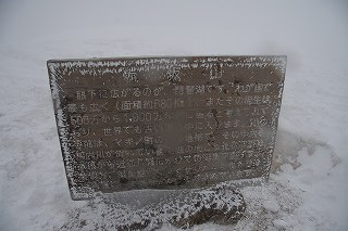 f0073587_1644286.jpg