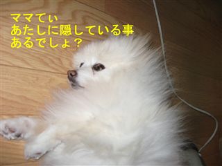 e0121589_1772245.jpg