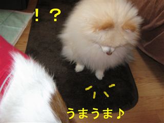 e0121589_1903690.jpg