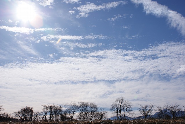 f0079289_8191131.jpg