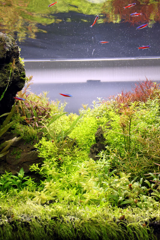 a0049090_22264418.jpg