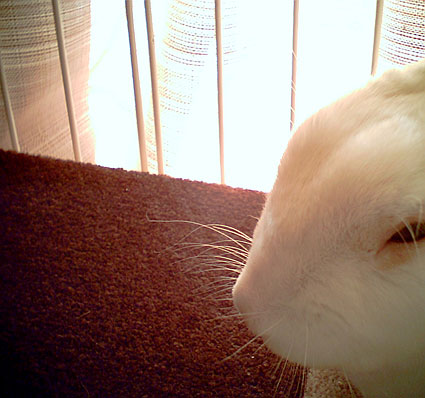 f0201191_14343229.jpg