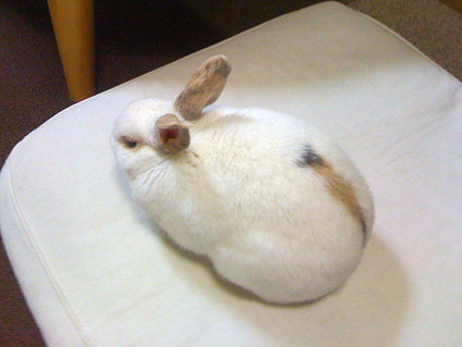 f0201191_218532.jpg