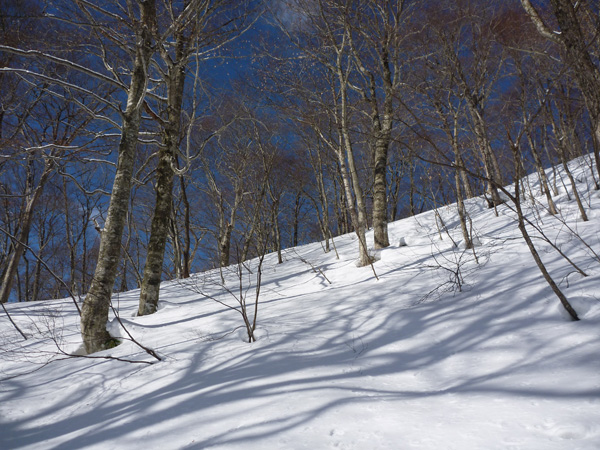 a0043193_1759408.jpg