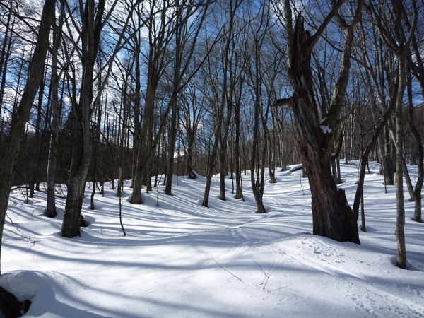 a0043193_180340.jpg