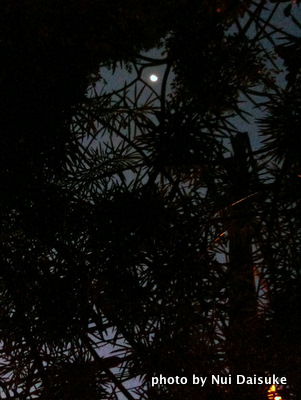 d0032693_5205787.jpg