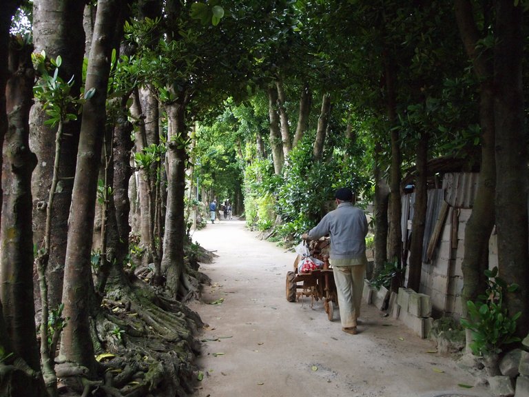 e0111793_1114763.jpg