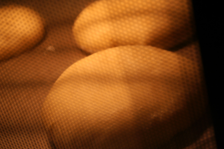 d0100095_11461399.jpg