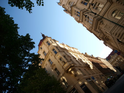 a0159697_1228257.jpg