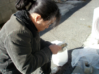 b0013897_1922639.jpg
