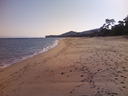 b0126098_17284387.jpg