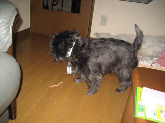 d0009101_1926487.jpg